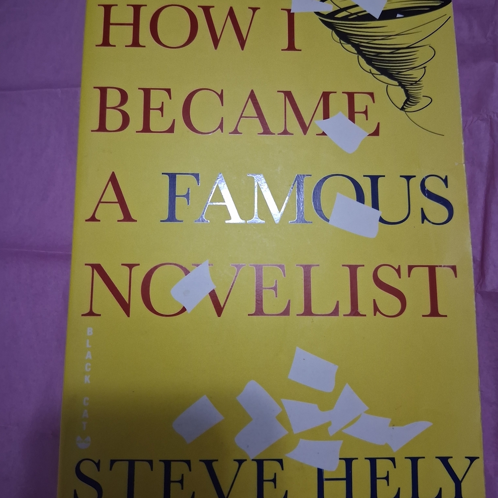 How I Became A Famous Novelist Book